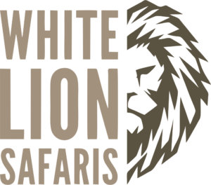 White Lion Safaris Hunting Outfitters South Africa