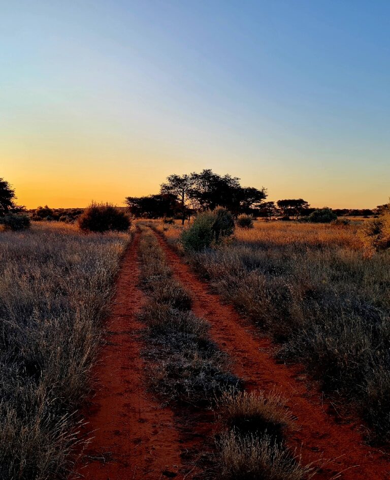 white-lion-safaris-kimberley-clearwater-lodge-09