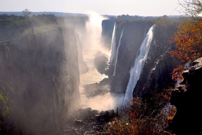 white-lion-safaris-photographic-09