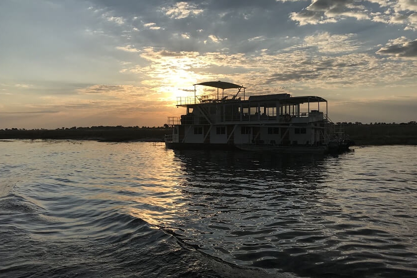 white-lion-safaris-photographic-13