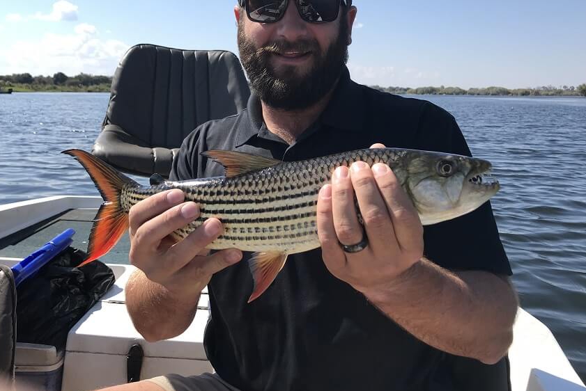 white-lion-safaris-photographic-15