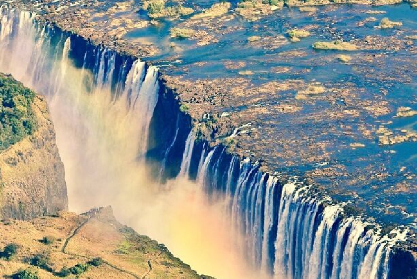 white-lion-safaris-photographic-20