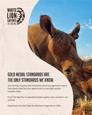 Instagram post from whitelionsafaris. This post is in position 1.