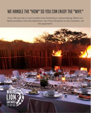 Instagram post from whitelionsafaris. This post is in position 1.