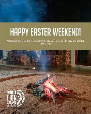 Instagram post from whitelionsafaris. This post is in position 6.