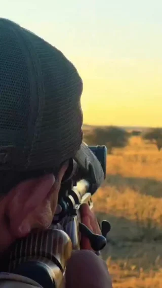 Instagram post from whitelionsafaris. This post is in position 1.