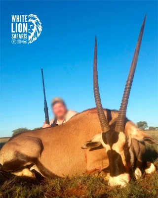 Instagram post from whitelionsafaris. This post is in position 1.
