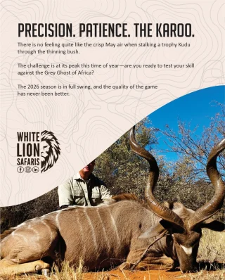 Instagram post from whitelionsafaris. This post is in position 1.