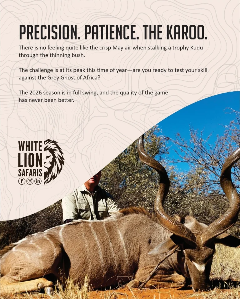 Instagram post from whitelionsafaris. This post is in position 0.