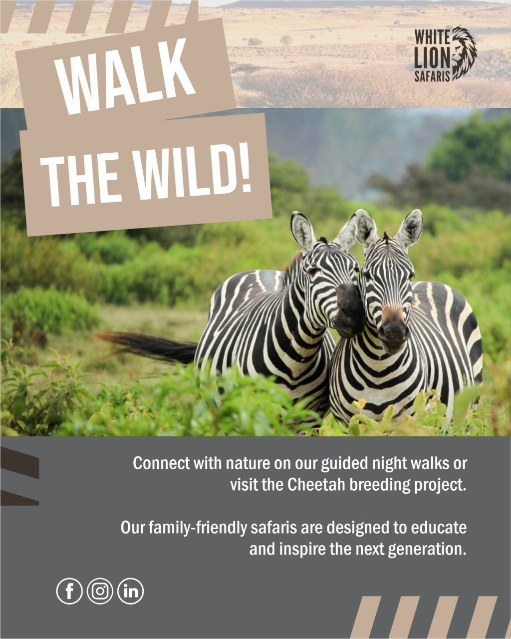 Instagram post from whitelionsafaris. This post is in position 0.