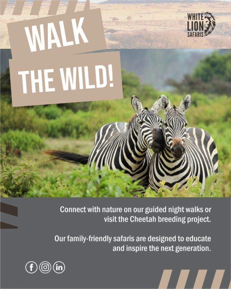 Instagram post from whitelionsafaris. This post is in position 1.