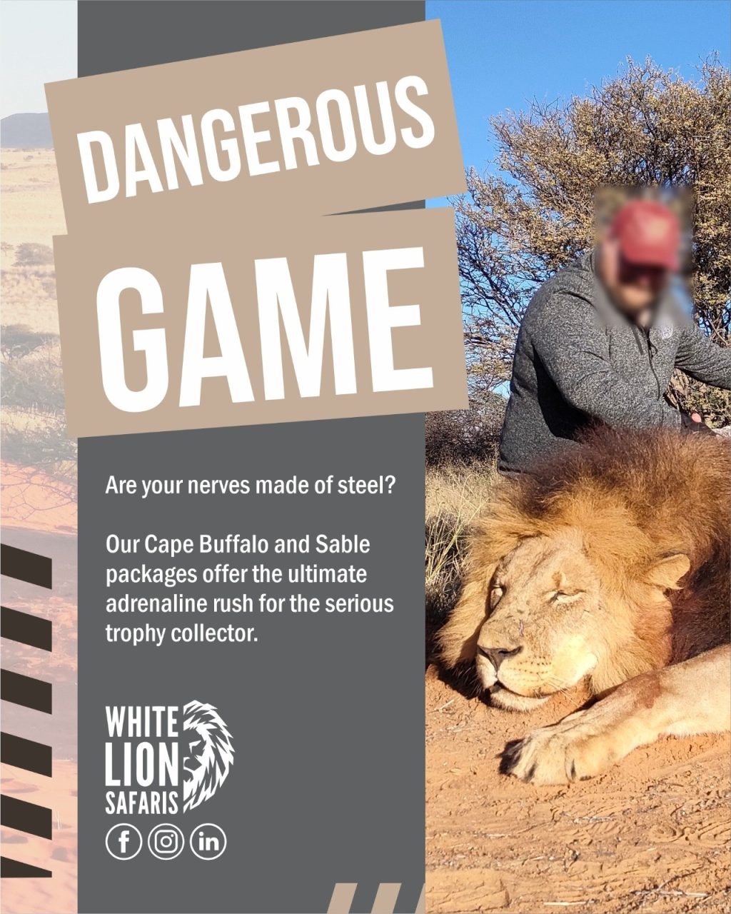 Instagram post from whitelionsafaris. This post is in position 4.