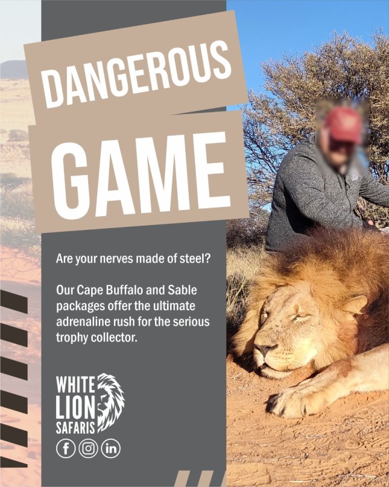 Instagram post from whitelionsafaris. This post is in position 5.