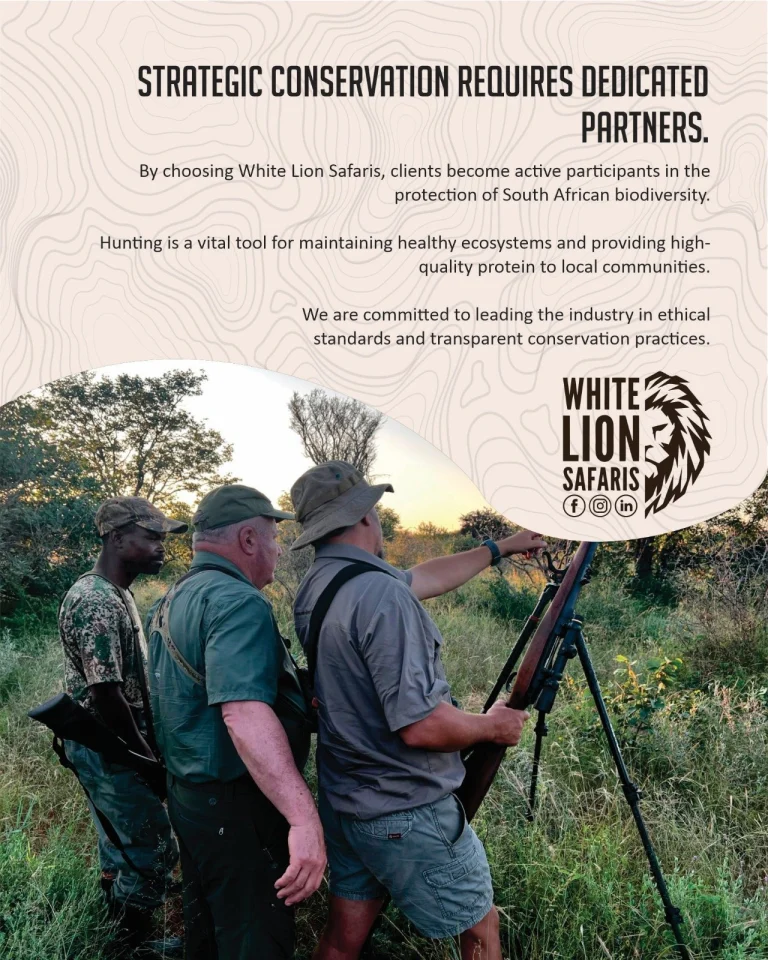 Instagram post from whitelionsafaris. This post is in position 2.
