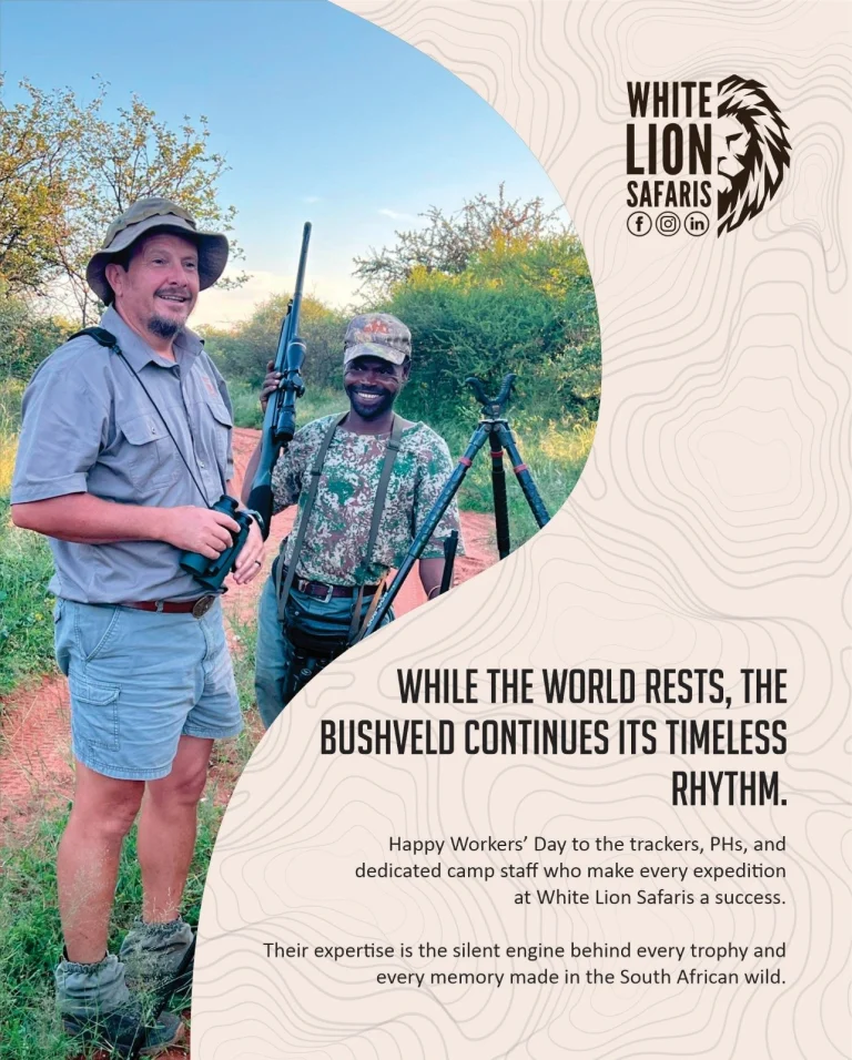 Instagram post from whitelionsafaris. This post is in position 0.