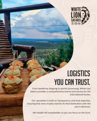 Instagram post from whitelionsafaris. This post is in position 1.