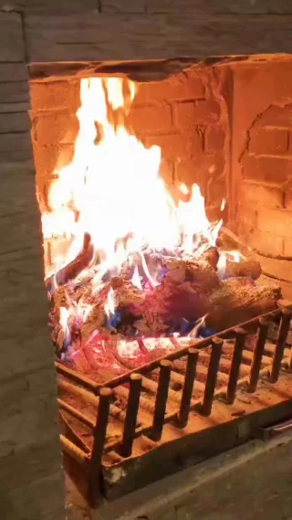 Instagram post from whitelionsafaris. This post is in position 1.