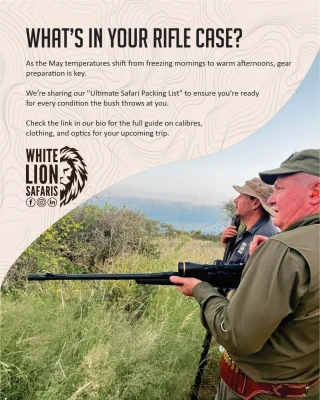 Instagram post from whitelionsafaris. This post is in position 2.