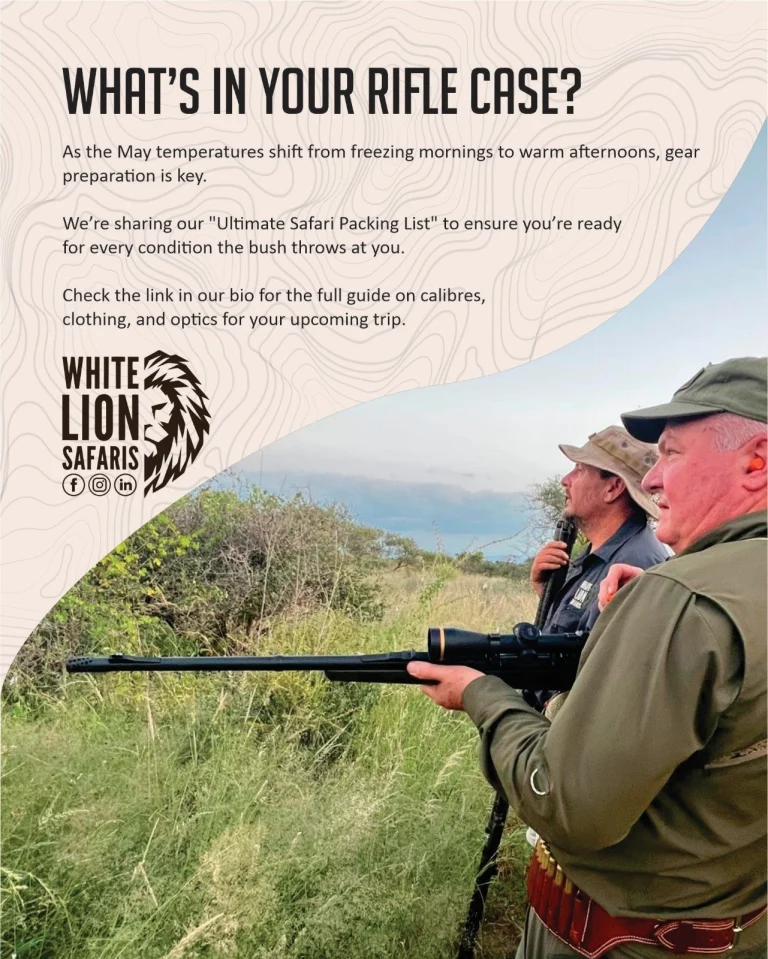 Instagram post from whitelionsafaris. This post is in position 1.