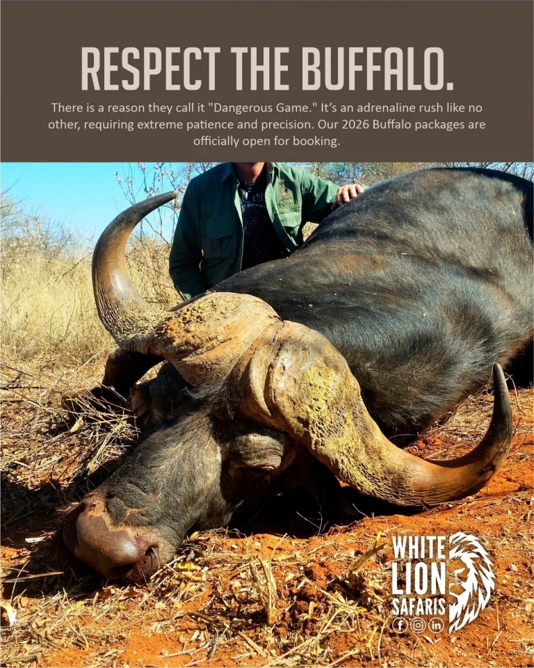 Instagram post from whitelionsafaris. This post is in position 0.