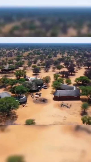 Instagram post from whitelionsafaris. This post is in position 2.