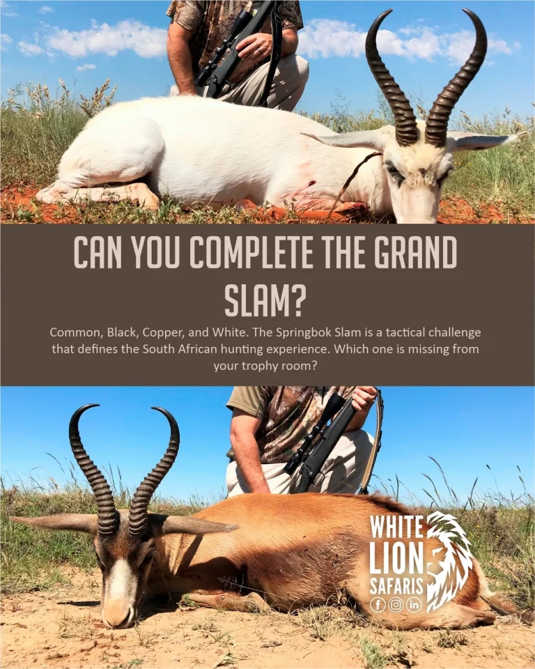 Instagram post from whitelionsafaris. This post is in position 0.