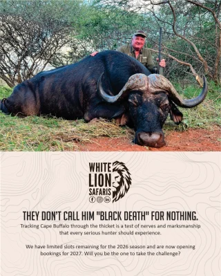 Instagram post from whitelionsafaris. This post is in position 2.