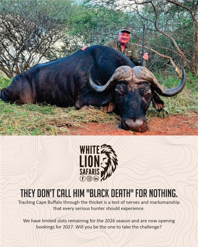 Instagram post from whitelionsafaris. This post is in position 1.
