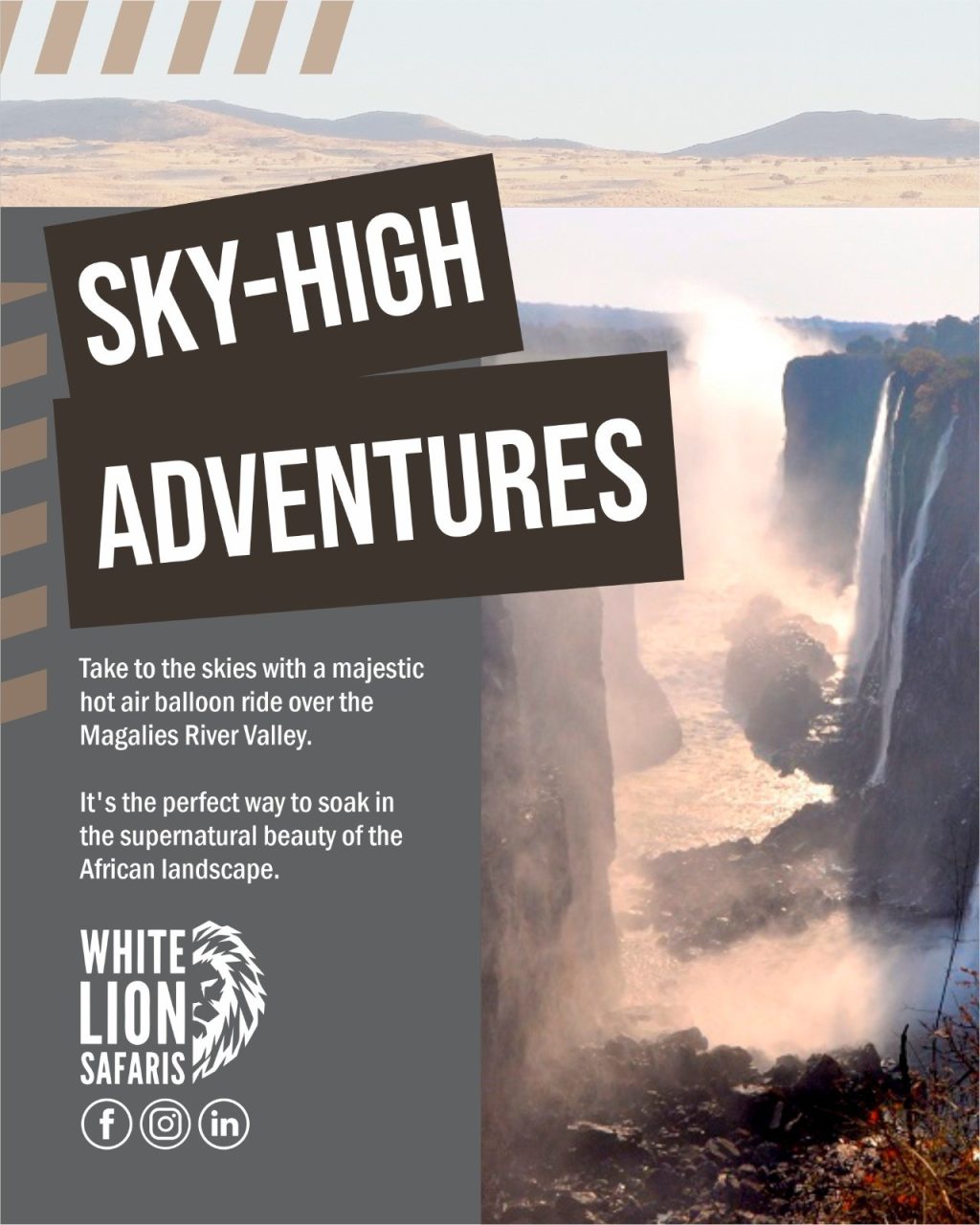 Instagram post from whitelionsafaris. This post is in position 1.
