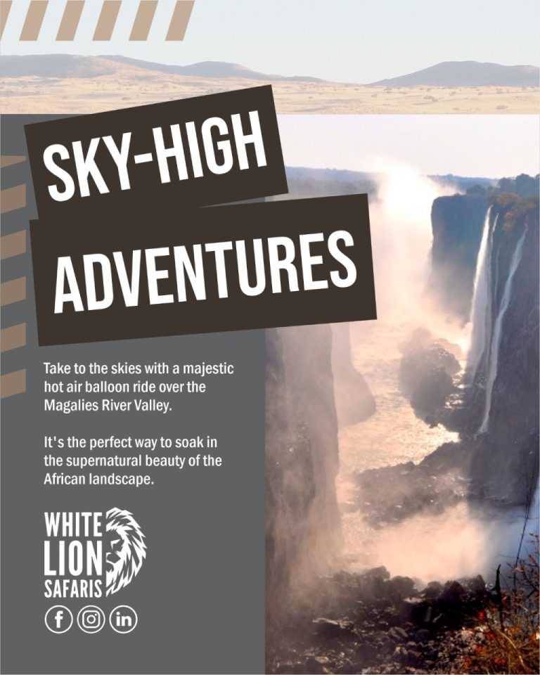 Instagram post from whitelionsafaris. This post is in position 2.