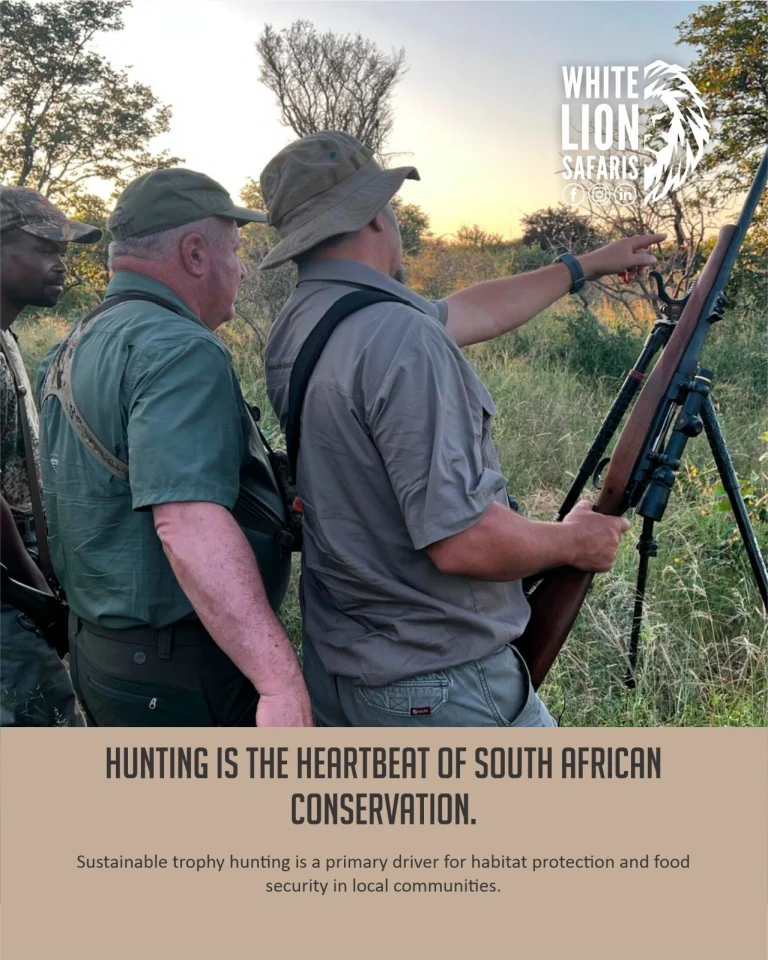 Instagram post from whitelionsafaris. This post is in position 2.