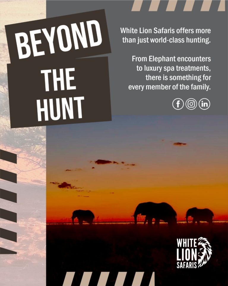 Instagram post from whitelionsafaris. This post is in position 3.