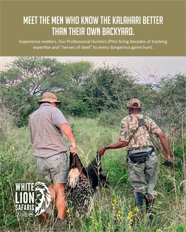 Instagram post from whitelionsafaris. This post is in position 1.