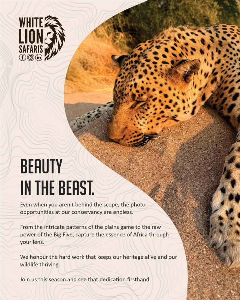 Instagram post from whitelionsafaris. This post is in position 0.